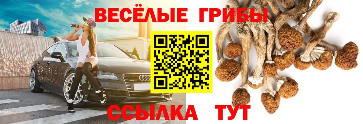 Псилоцибиновые грибы MAGIC MUSHROOMS Благодарный